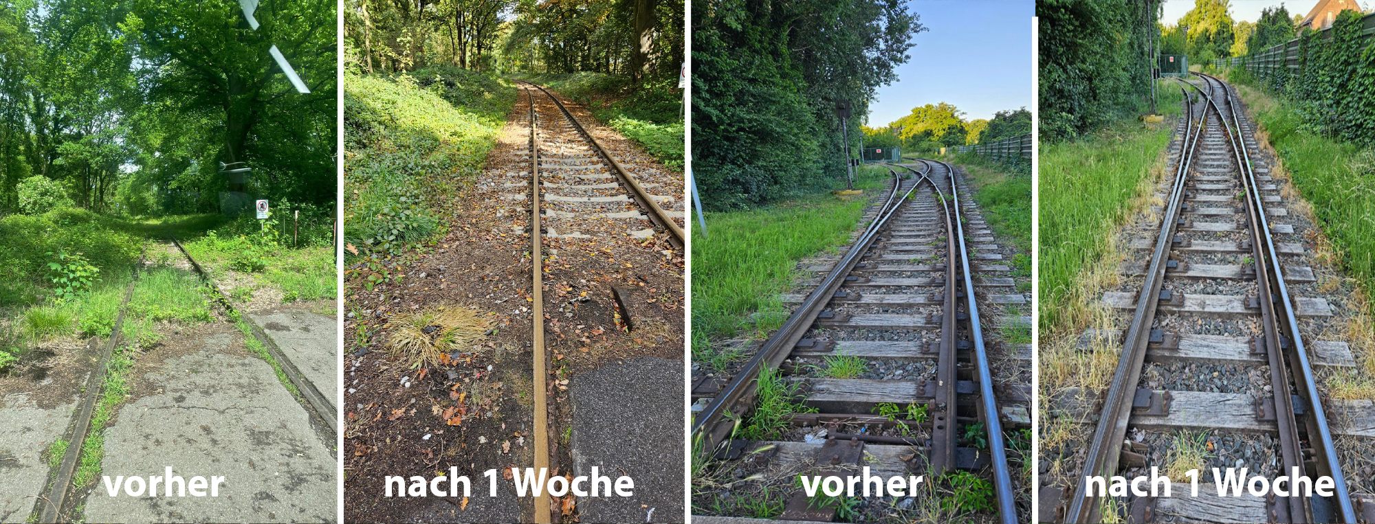 heißwasserverfahren vorher nachher
