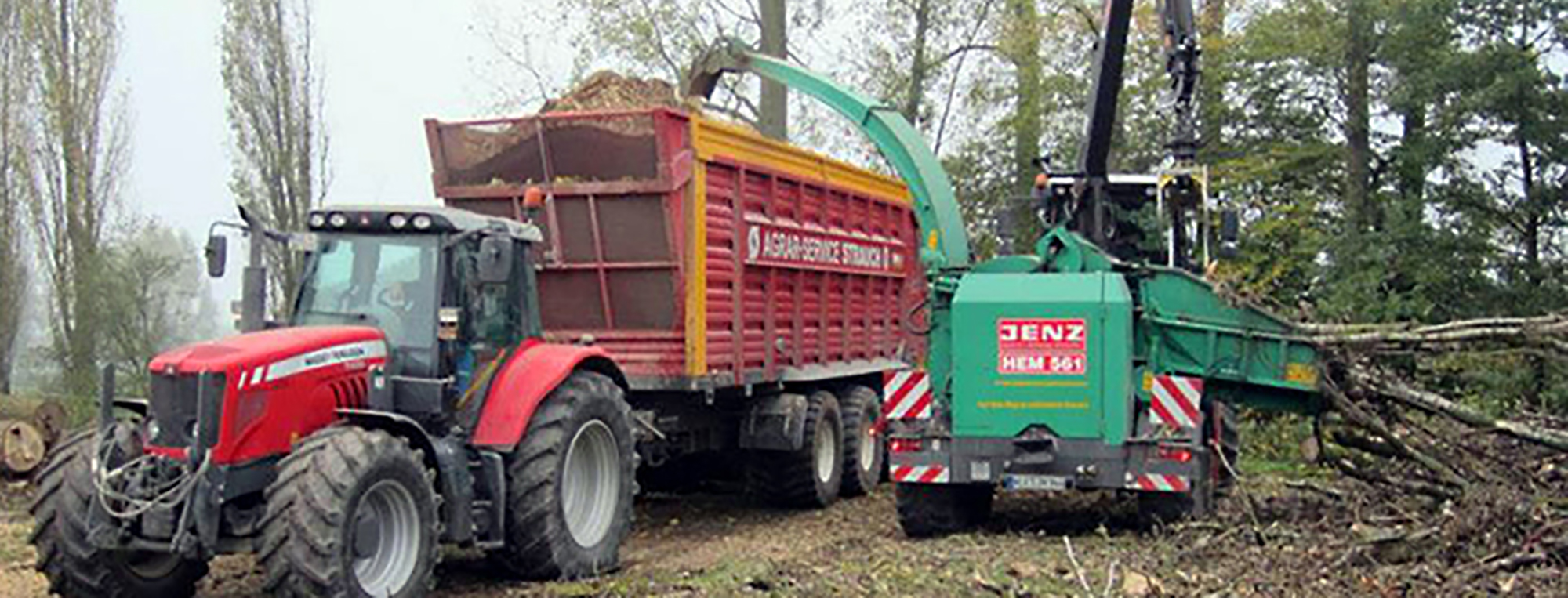 baum fällen