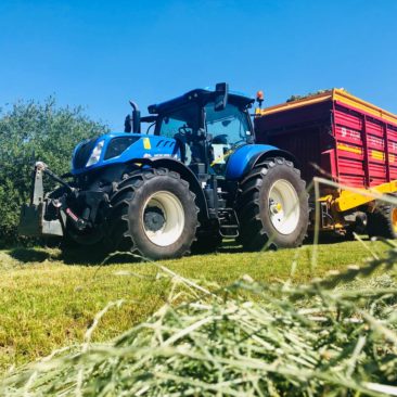 Grasernte Ladewagen New Holland